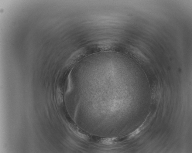 X0000068820136200605121325