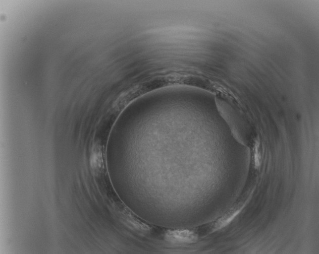 X0000068820137200605121325