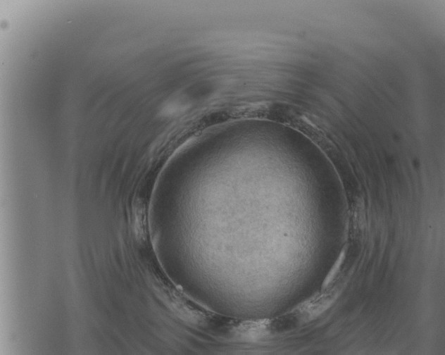 X0000068820138200605121325