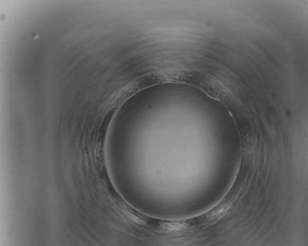 X0000068820139200605121325