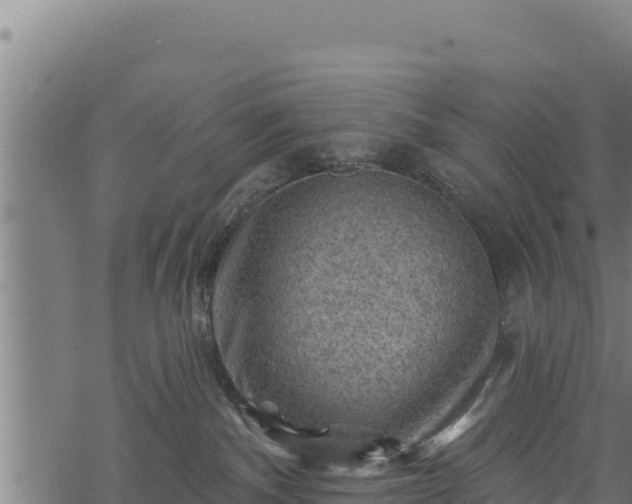 X0000068820140200605121325