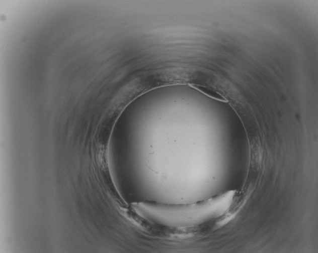 X0000068820141200605121325