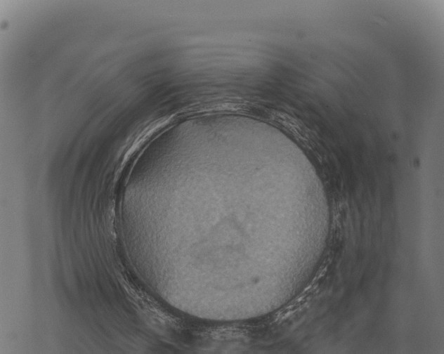 X0000068820146200605121324