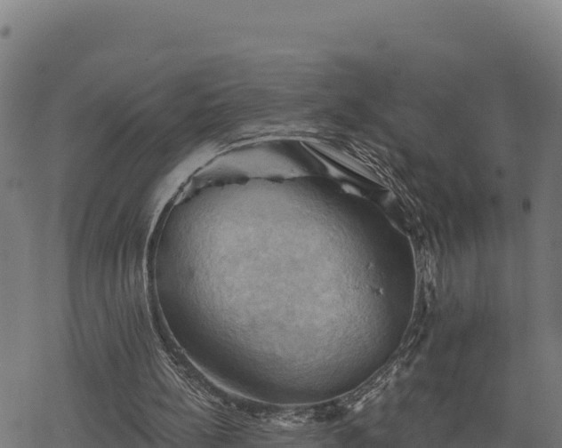 X0000068820148200605121324