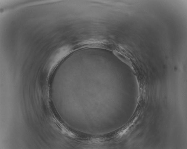 X0000068820149200605121324