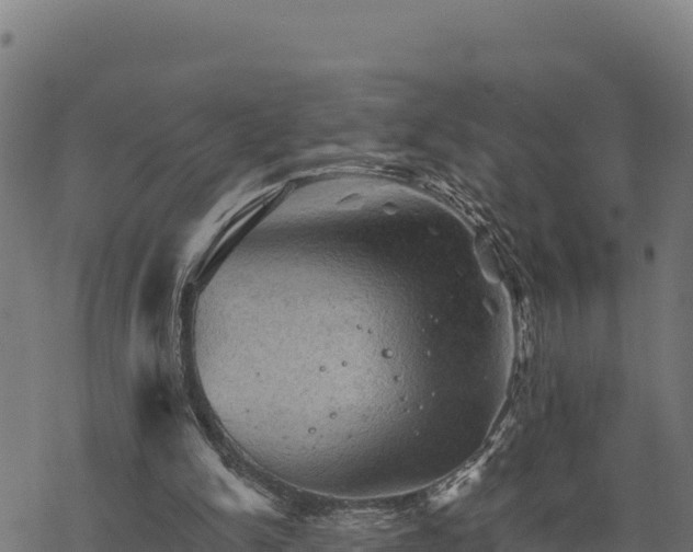 X0000068820150200605121324