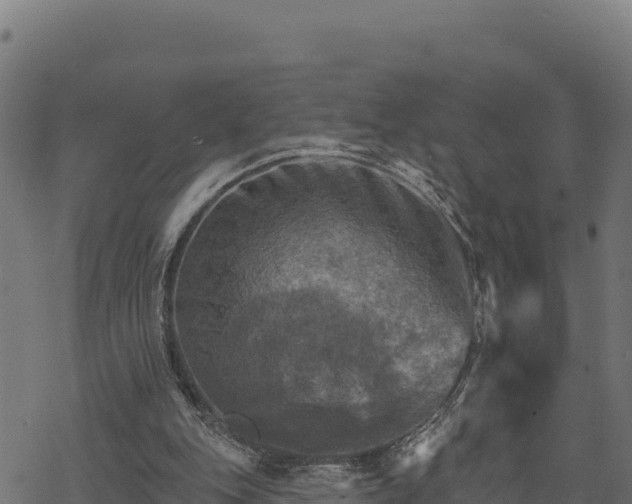 X0000068820151200605121324