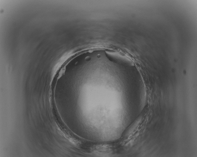 X0000068820152200605121324