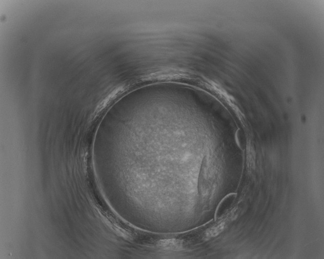 X0000068820153200605121324