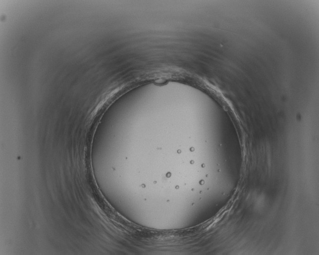 X0000068820154200605121324