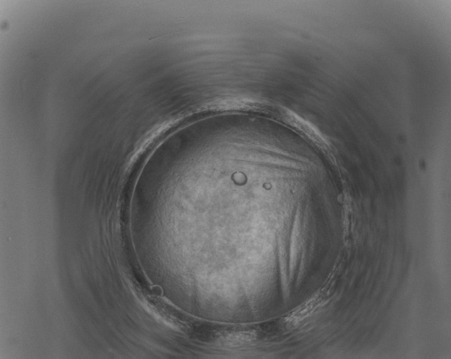 X0000068820155200605121324