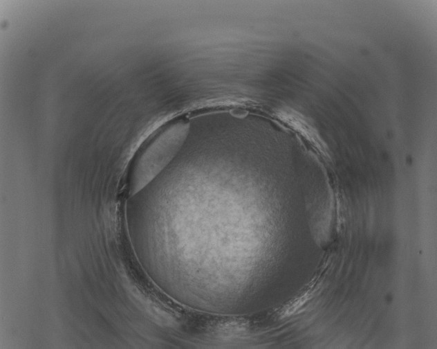 X0000068820156200605121324