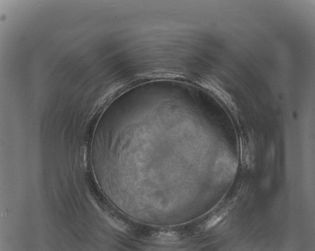 X0000068820157200605121324