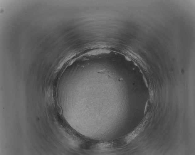 X0000068820158200605121325