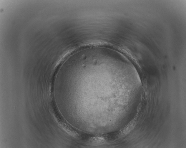 X0000068820159200605121325