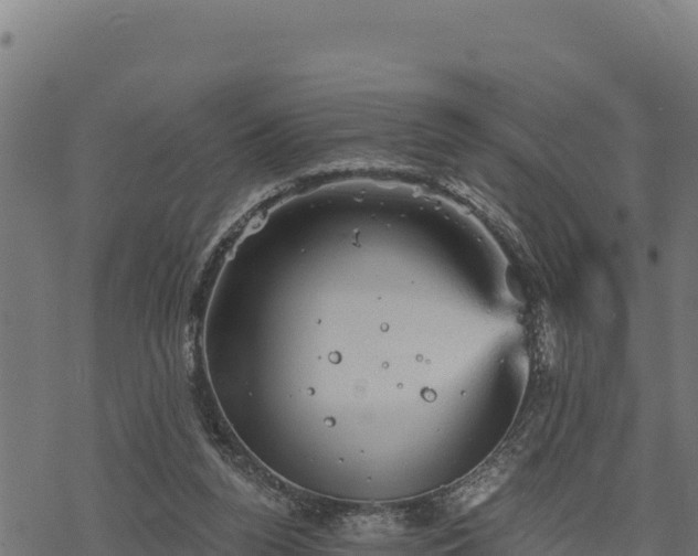 X0000068820160200605121325