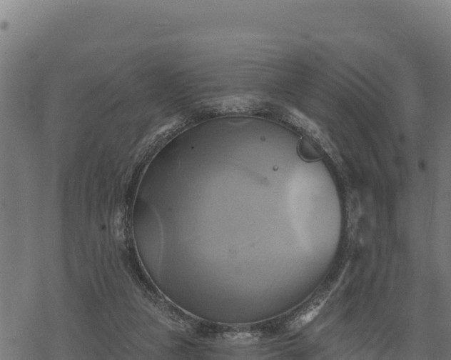 X0000068820161200605121325