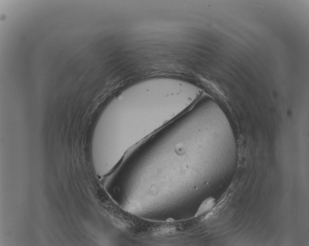 X0000068820162200605121325