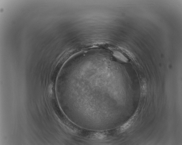 X0000068820166200605121325