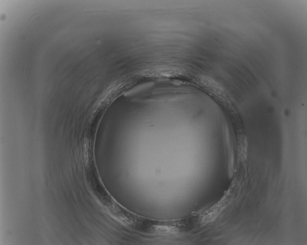 X0000068820167200605121325