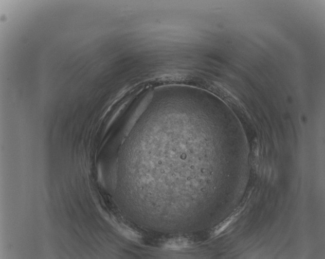 X0000068820168200605121325