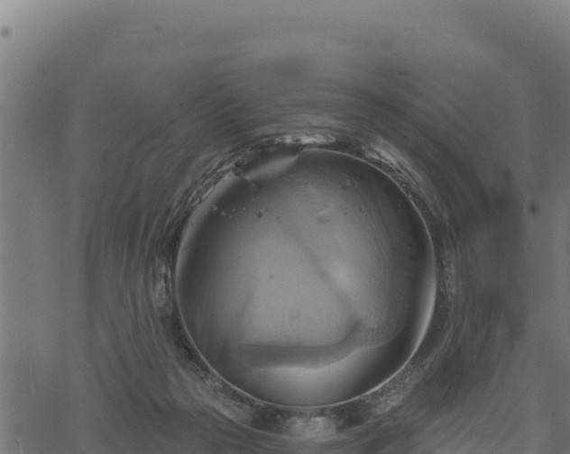 X0000068820169200605121325