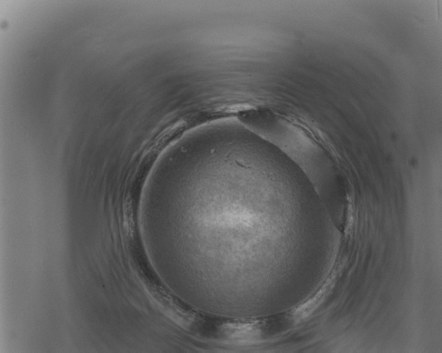 X0000068820170200605121325