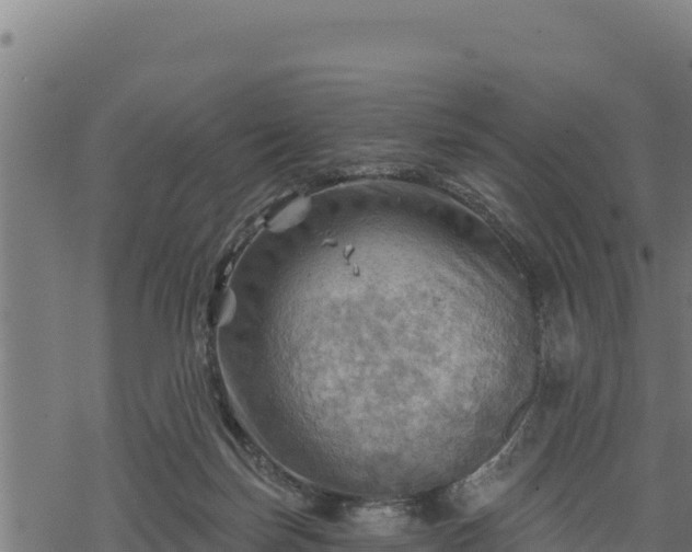 X0000068820171200605121325