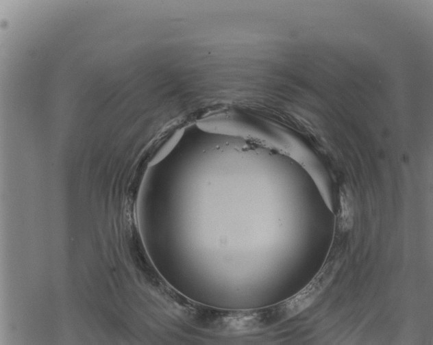 X0000068820172200605121325