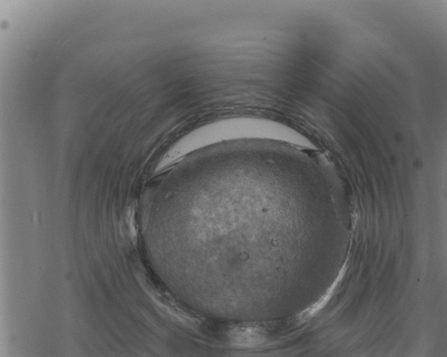 X0000068820174200605121325