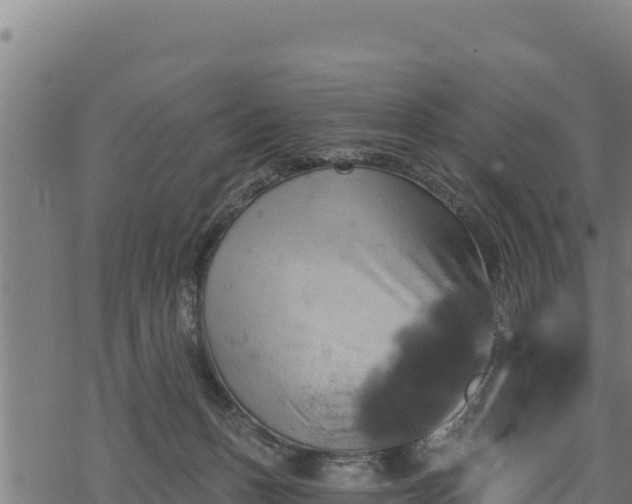 X0000068820175200605121325