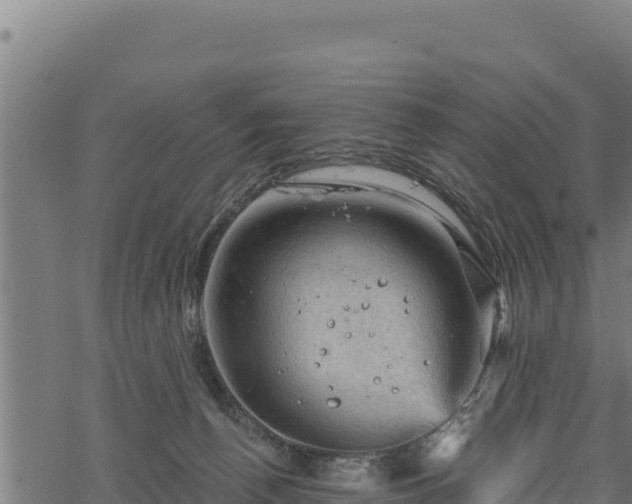 X0000068820176200605121325