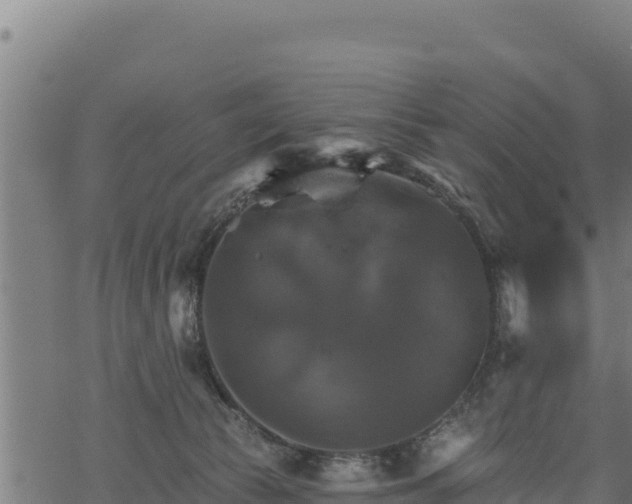 X0000068820177200605121325