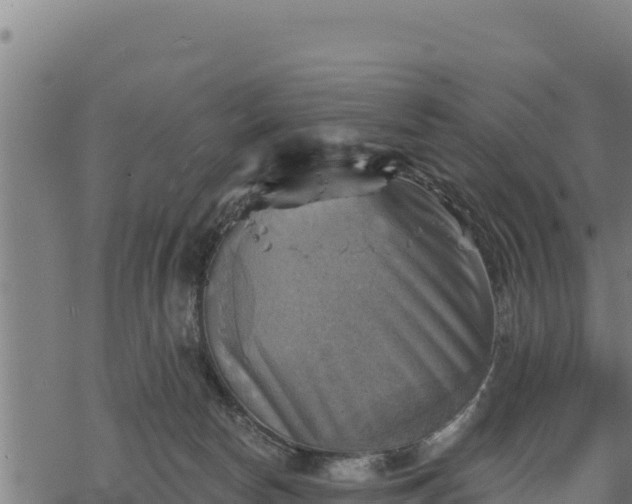 X0000068820178200605121325