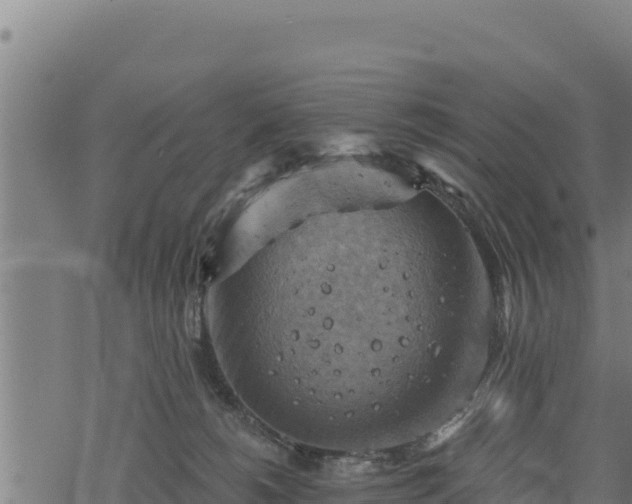 X0000068820180200605121325