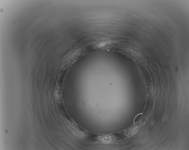 X0000068820181200605121325