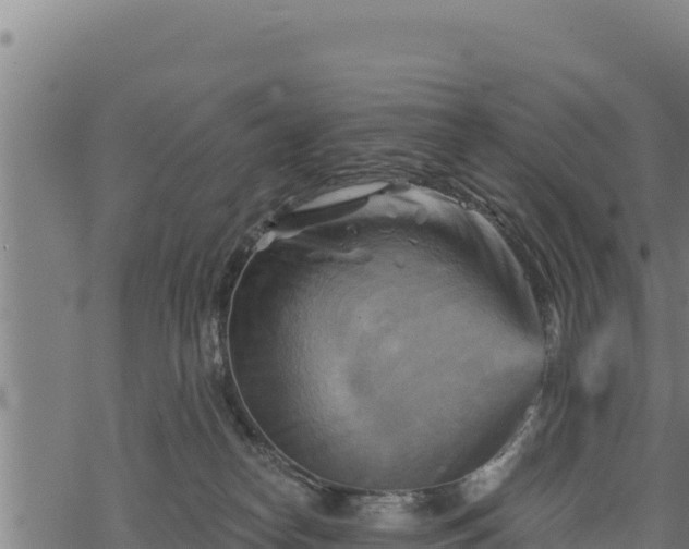 X0000068820182200605121325