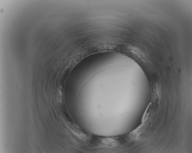 X0000068820183200605121325