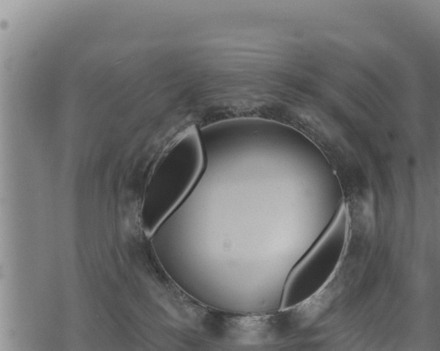 X0000068820184200605121325