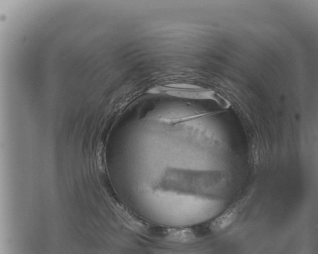 X0000068820185200605121325