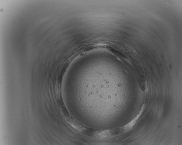 X0000068820186200605121325