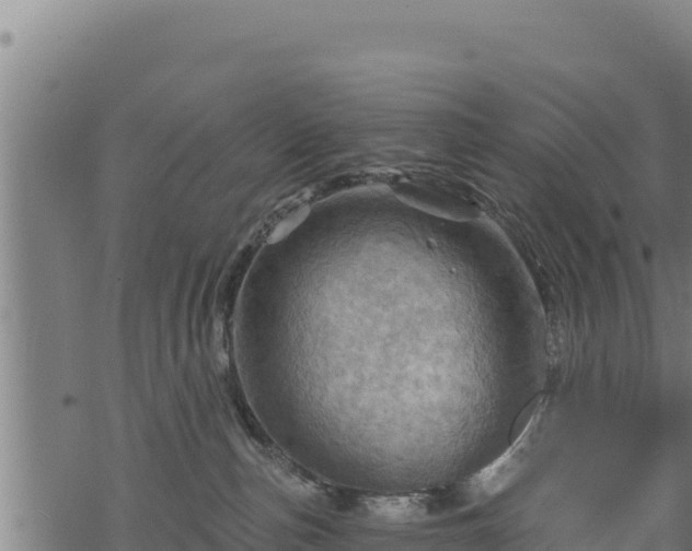 X0000068820187200605121325