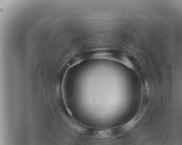 X0000068820188200605121325