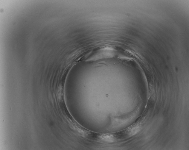 X0000068820189200605121325