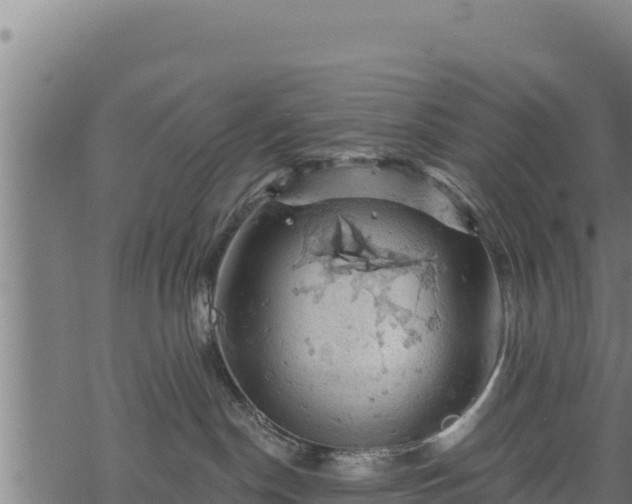 X0000068820190200605121325