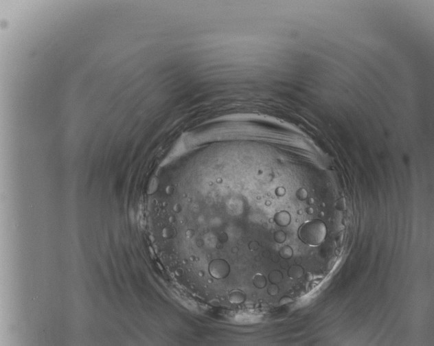 X0000068820191200605121325