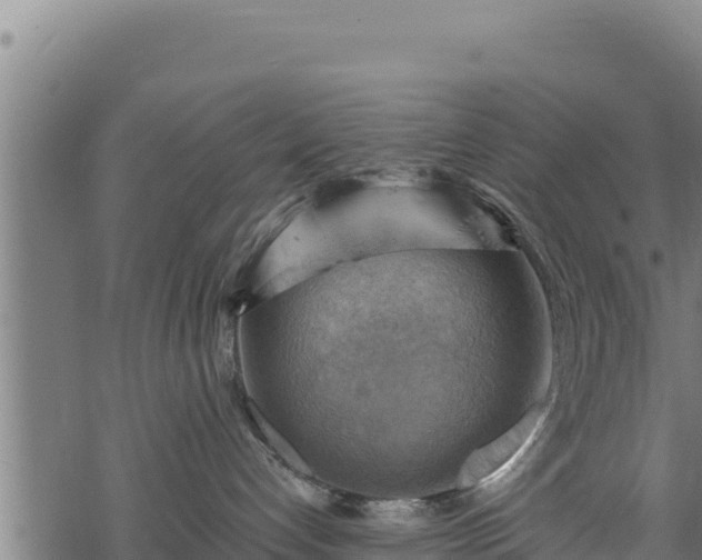 X0000068820192200605121325