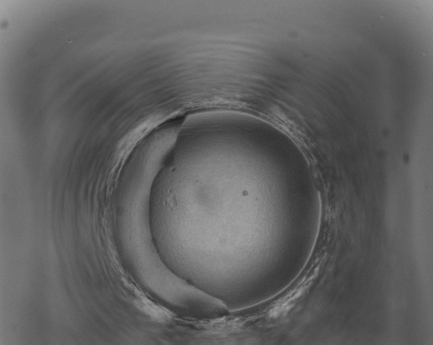 X0000068820193200605121324