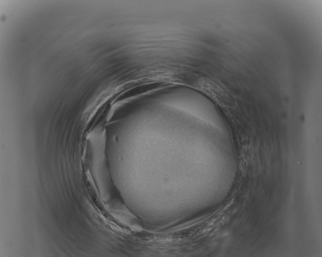 X0000068820194200605121324