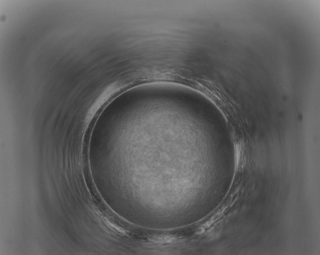 X0000068820195200605121324